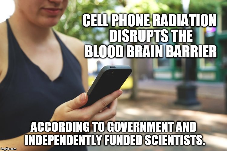Japanese Science Groups Provide Resources on Health Risks from EMF/RF Exposure (Cell Phones, Smart Meters, 5G, etc.) – Activist Post