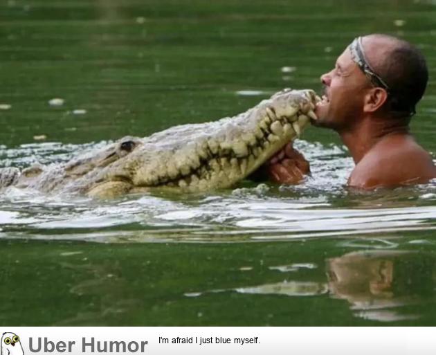 A local fisherman in Costa Rica nursed a crocodile back to health after it had been shot in the head, and released the reptile back to its home. The next day, the man discovered “Pocho” had followed him home and was sleeping on the man’s porch. For 20 years Pocho became part of the man’s family. |  Funny Pictures, Quotes, Pics, Photos, Images. Videos of Really Very Cute animals.